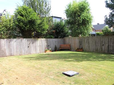 Picture 11